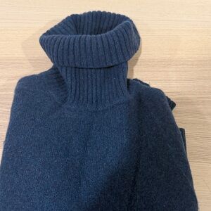 Banana Republic Deep Blue Turtleneck Sweater
